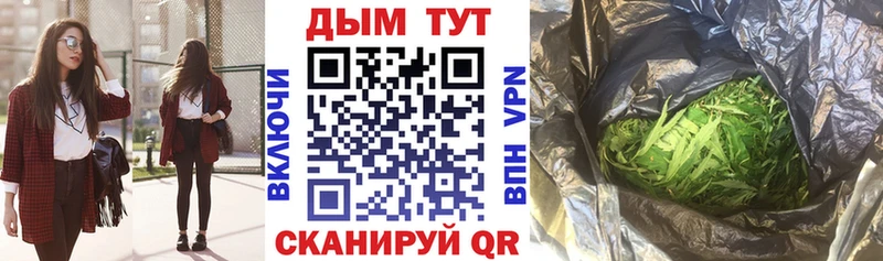 Конопля Сенгилей