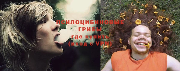 молекула духа Алзамай
